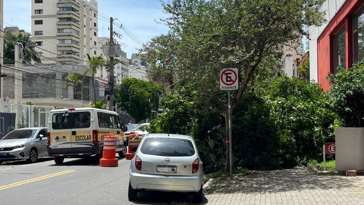 Outra árvore caiu em frente à farmácia Drogasil.