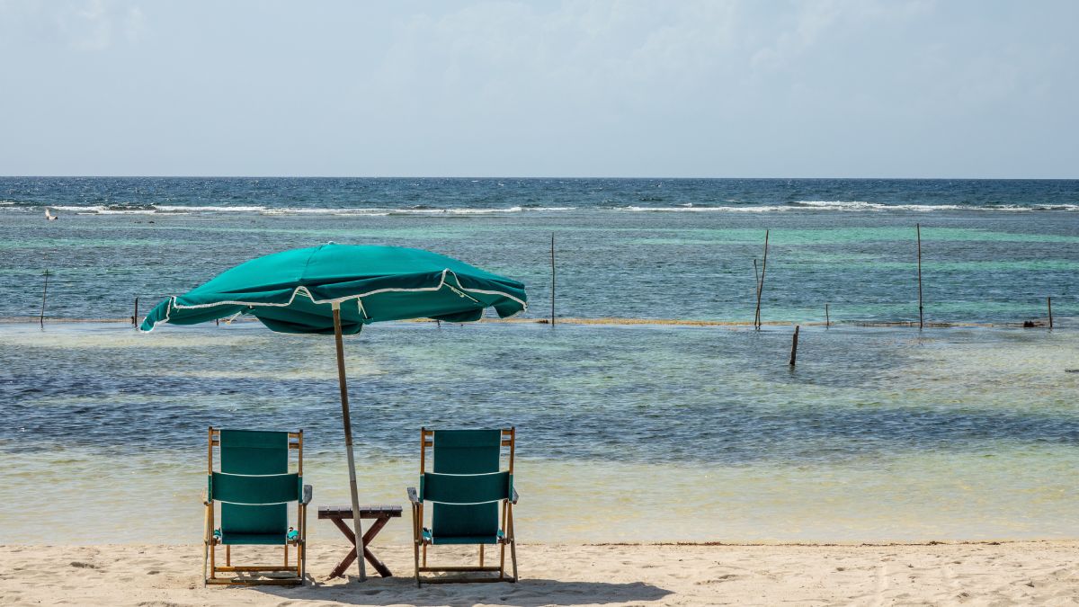 Verão no litoral de São Paulo reúne praias, trilhas e cidades que ficam ainda mais movimentadas na estação