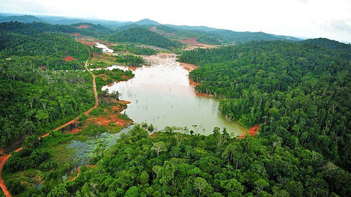 Segundo especialistas, a média anual de chuvas no território supera os 4.000 mm, mas em anos atípicos esse volume pode ser ainda mais extremo - (Philippe Gomes/Wikimedia Commons)