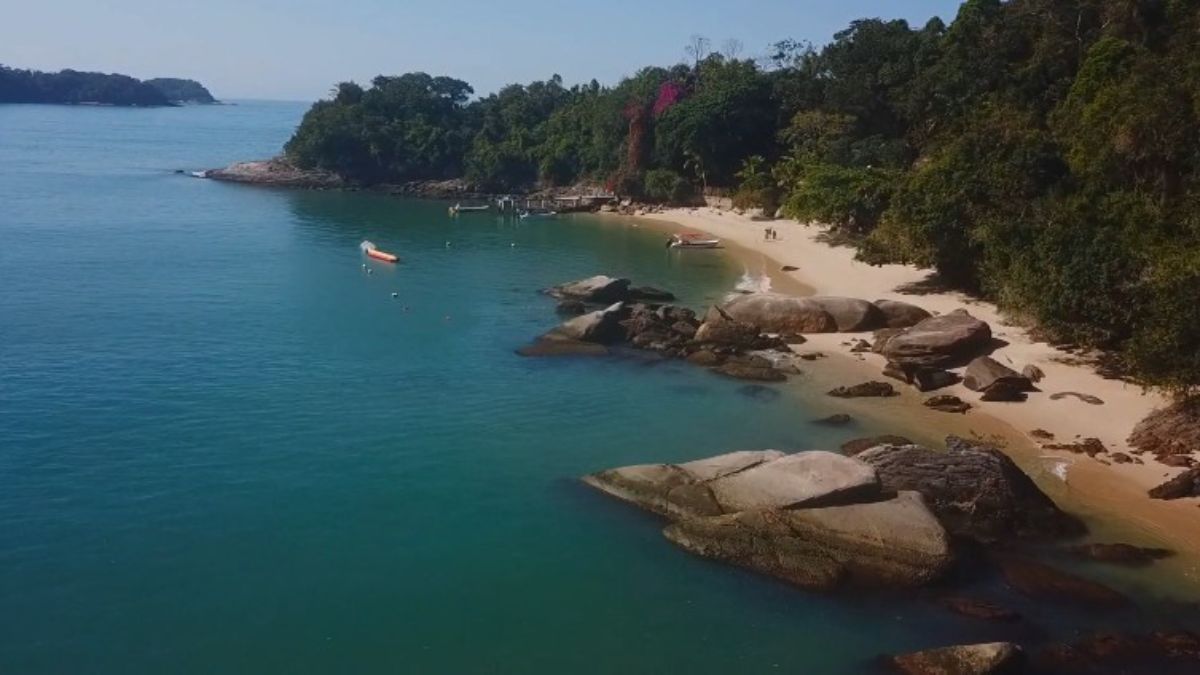 O acesso à Ilha do Pelado é feito exclusivamente por barco, com saída da Praia de São Gonçalo; a praia fica a cerca de 30 km antes de Paraty, no sentido de Angra dos Reis