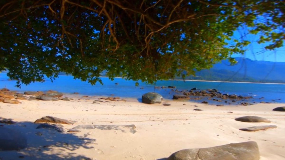 Para aproveitar melhor o passeio, é indicado levar protetor solar, toalha, snorkel e uma muda de roupa