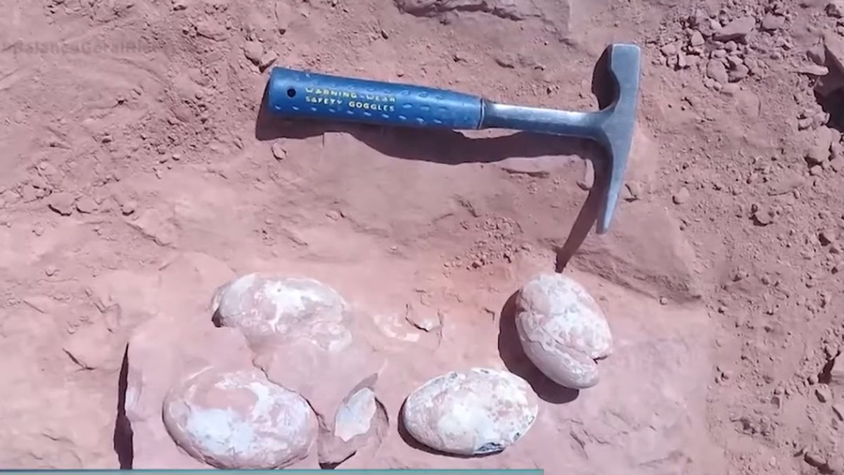 Ovos de dinossauro com cerca de 72 milhões de anos foram encontrados em um sítio de Poyos, na província de Guadalajara, na Espanha