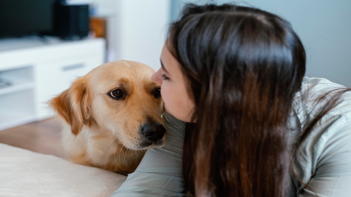 Experimentos publicados no Journal of Current Biology mostram que os cães conseguem entender o que um humano vê ou não vê em determinada situação (Fotos: Freepik)
