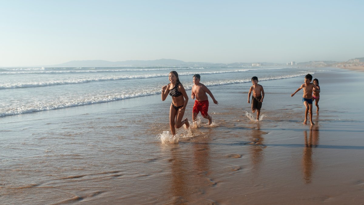 Os sinais costumam envolver dor abdominal, vômitos e alteração do funcionamento intestinal