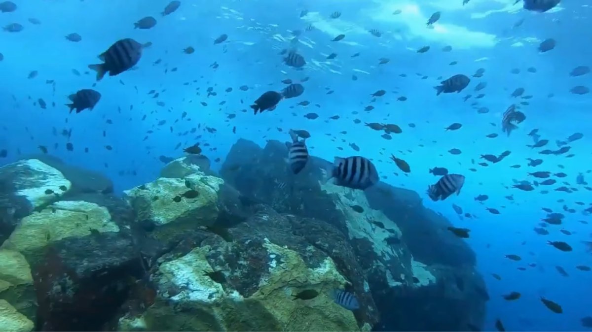 Sancho é a única praia brasileira no top 10 mundial do TripAdvisor (Fotos: Reprodução/Youtube)