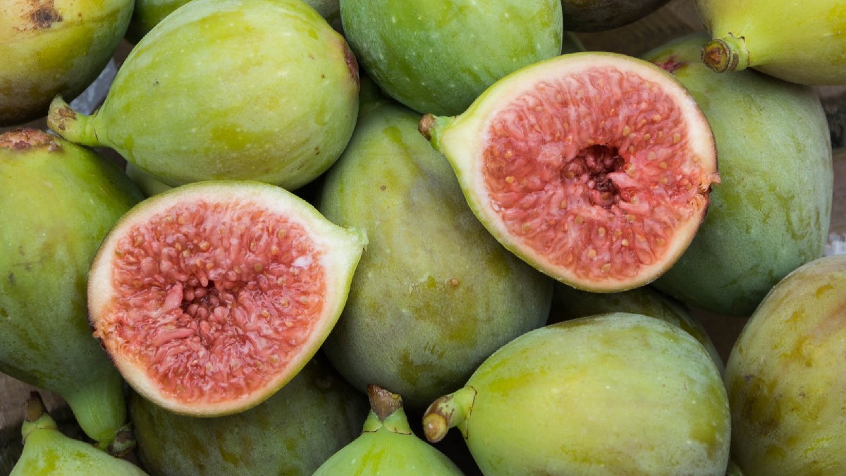 A fruta figo favorece a microbiota intestinal e melhora o trânsito graças às fibras e compostos prebióticos. Imagem: Banco de imagens