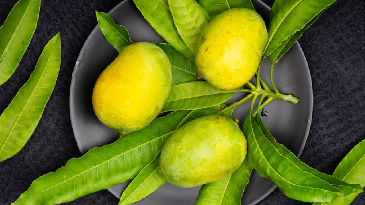 Mas as folhas também possuem propriedades antioxidantes. Imagem: Tamanna Rumee/Pexels