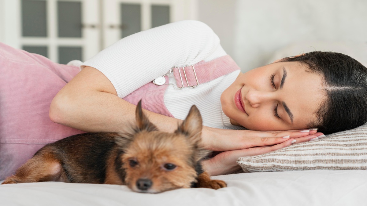 Dormir com cães pode ampliar o contato com bactérias, parasitas e alérgenos (Fotos: Freepik)