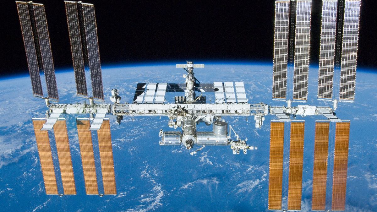 Cientistas tentaram utilizar o fungo como escudo contra radiação cósmica na Estação Espacial Internacional. Imagem: Domínio Público