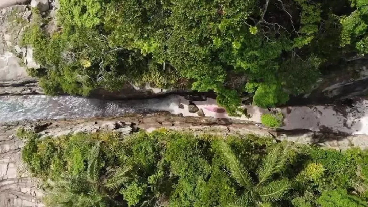 A ilha é parte de um ecossistema delicado e, por isso, o acesso restrito é uma medida necessária para garantir a conservação do local- (Reprodução/YouTube/Caminhos do SUP)