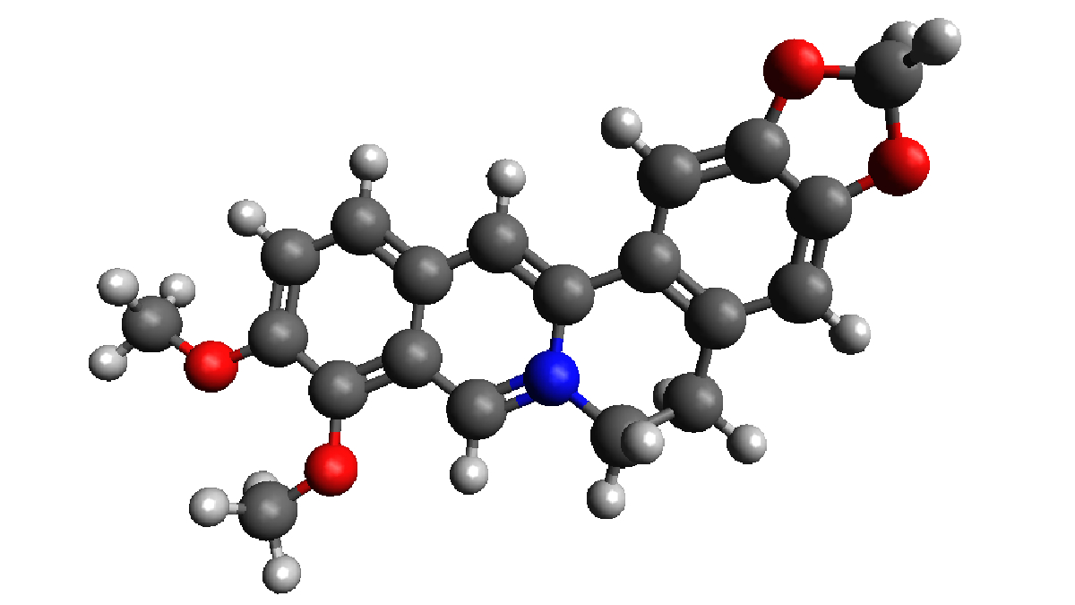 Entenda funcionamento da molécula de berberina. Imagem: Mplanine/Wikimedia Commons