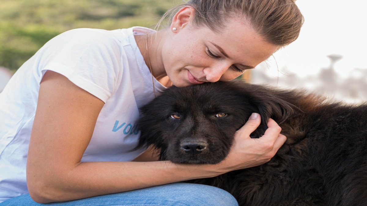 Segundo especialistas, pessoas que mantêm esse hábito costumam apresentar níveis mais altos de empatia e sensibilidade emocional (Fotos: Freepik)