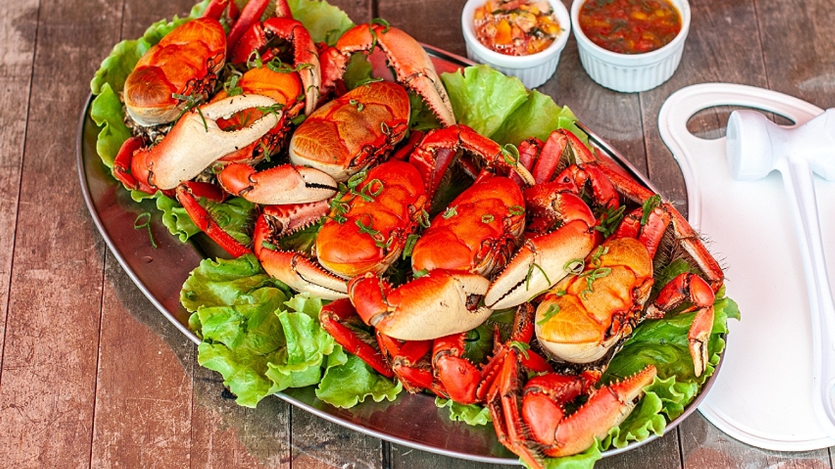 O sabor da tradição caiçara toma conta de Pontal do Paraná com mais uma edição do Festival do Caranguejo | Reprodução/PMPP