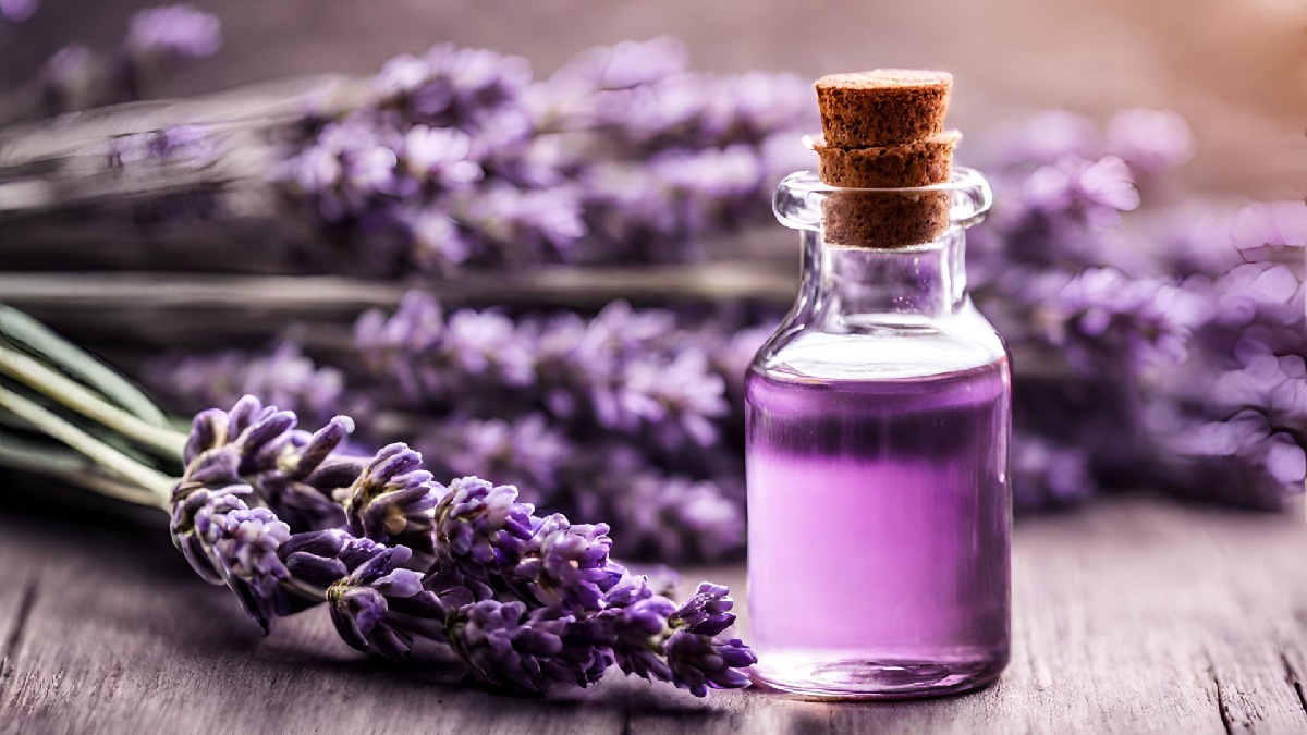 Use aromas essenciais: assim como o perfume do incenso, usar um difusor de aromas também é uma técnica para espalhar perfumes benéficos na sua casa. Experimente lavanda para trazer calma e laranja para trazer frescor. Imagem: Domínio Público