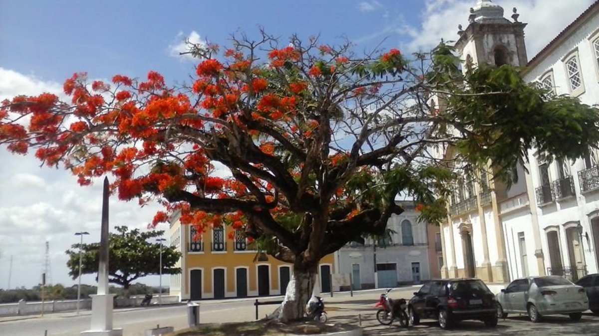 Mas a cidade vai além do patrimônio físico e mantém uma vida cultural ativa, com eventos, festivais e manifestações religiosas que atraem turistas de todo o Brasil (Foto: Washington Moraes/Wikimedia Commons)