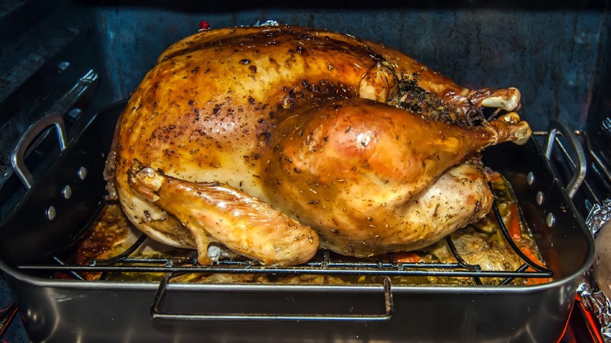 O forno é grande o suficiente para fazer um peru de natal, por exemplo, com crocância de airfryer. Imagem: Banco de Imagens