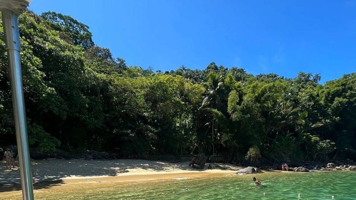 Cercada por Mata Atlântica preservada, a praia é um refúgio para quem deseja relaxar em meio à vegetação exuberante. Foto: Divulgação/Tripadvisor