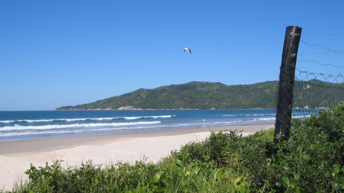 4- Praia Mariscal, Santa Catarina (Foto: W.Feistler/Wikimedia Commons)