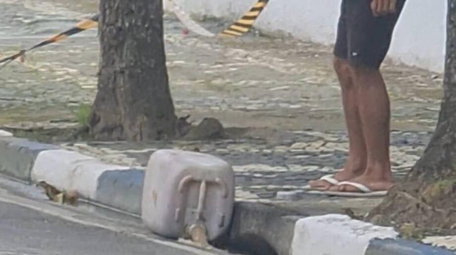 Flagrante de descarte irregular de óleo na Praia do Tombo, em Guarujá/Reprodução