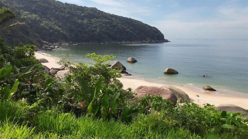 Foi na Praia Saco do Major, em 1967, que Silvio Santos conheceu Íris Abravanel, em um episódio que mais tarde seria relembrado como o início de uma das histórias mais conhecidas da televisão brasileira.