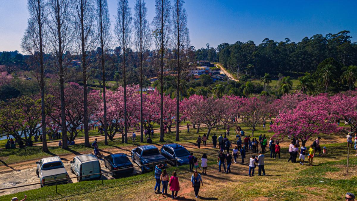 Do outro lado do mesmo caminho, a experiência ganha cara de complexo turístico. A vila don patto, por exemplo, aparece no guia do roteiro do vinho como um dos pontos mais concorridos, com áreas verdes, mirantes, empório e diferentes ambientes para passar o dia sem pressa. 