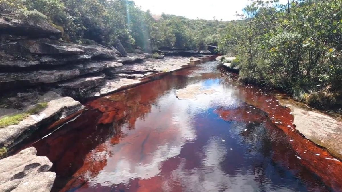 Quem deseja chegar à cachoeira pode escolher entre duas trilhas diferentes, cada uma com paisagens próprias ao longo do caminho (Fotos: Reprodução YouTube)