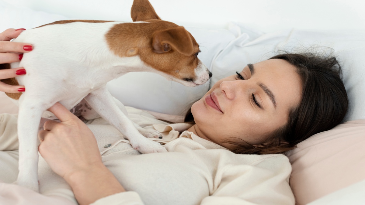 Diversos estudos mostram que pessoas que dormem com cães na cama tendem a apresentar mais interrupções durante a noite