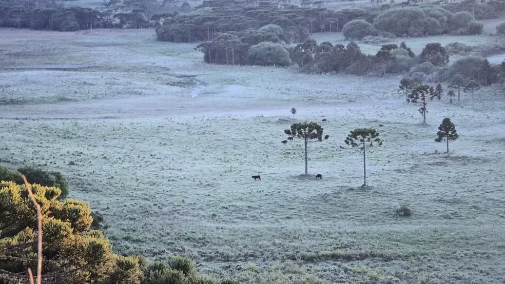 Fenômeno aconteceu na região do Vale dos Caminhos da Neve, em São Joaquim, onde os termômetros marcaram 4,06°C. Foto: Mycchel Legnaghi/Divulgação