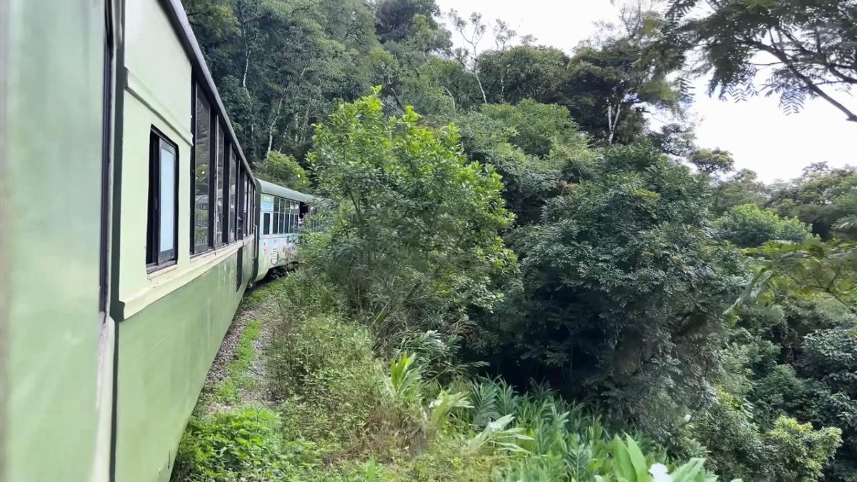 Viajar de trem pelo Brasil pode ser sinônimo de luxo, história e contato intenso com a natureza
