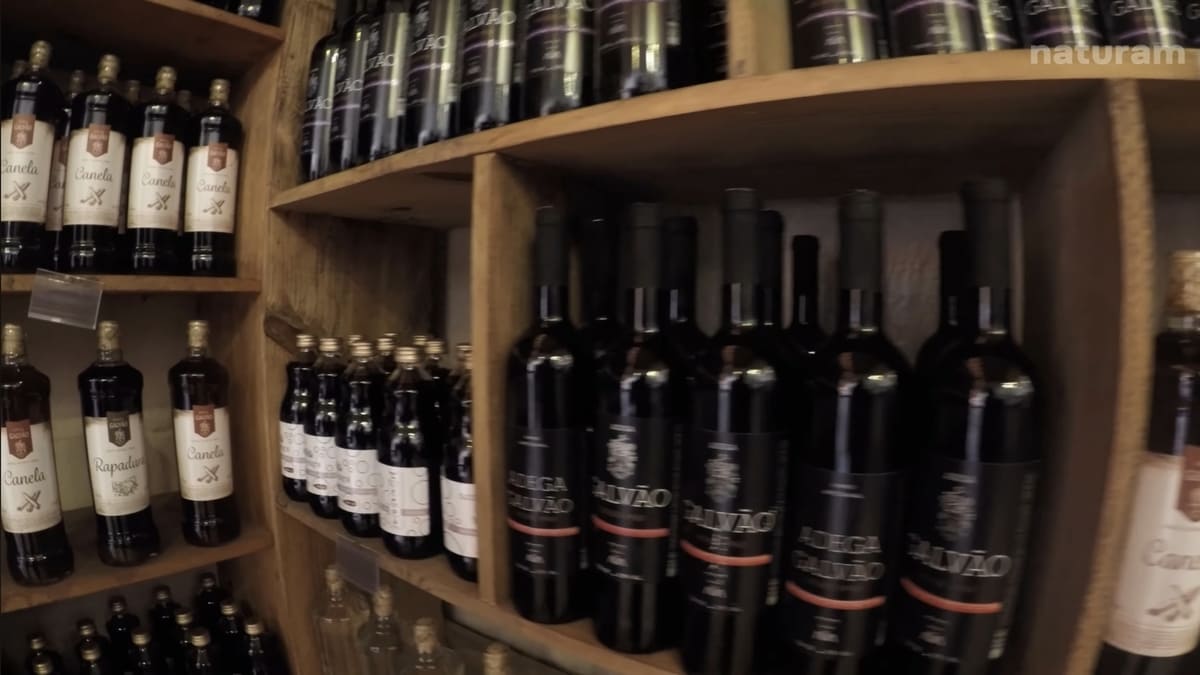 Jundiaí é um dos principais destinos da rota do vinho - Reprodução/YouTube