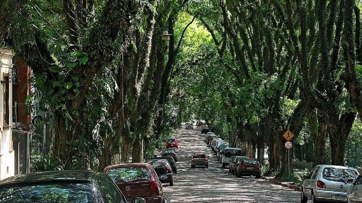 A Rua Gonçalo de Carvalho é exemplo de convivência entre cidade e natureza.