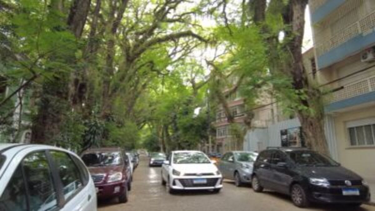 A paisagem arborizada contrasta com os prédios ao redor e valoriza o espaço urbano.
