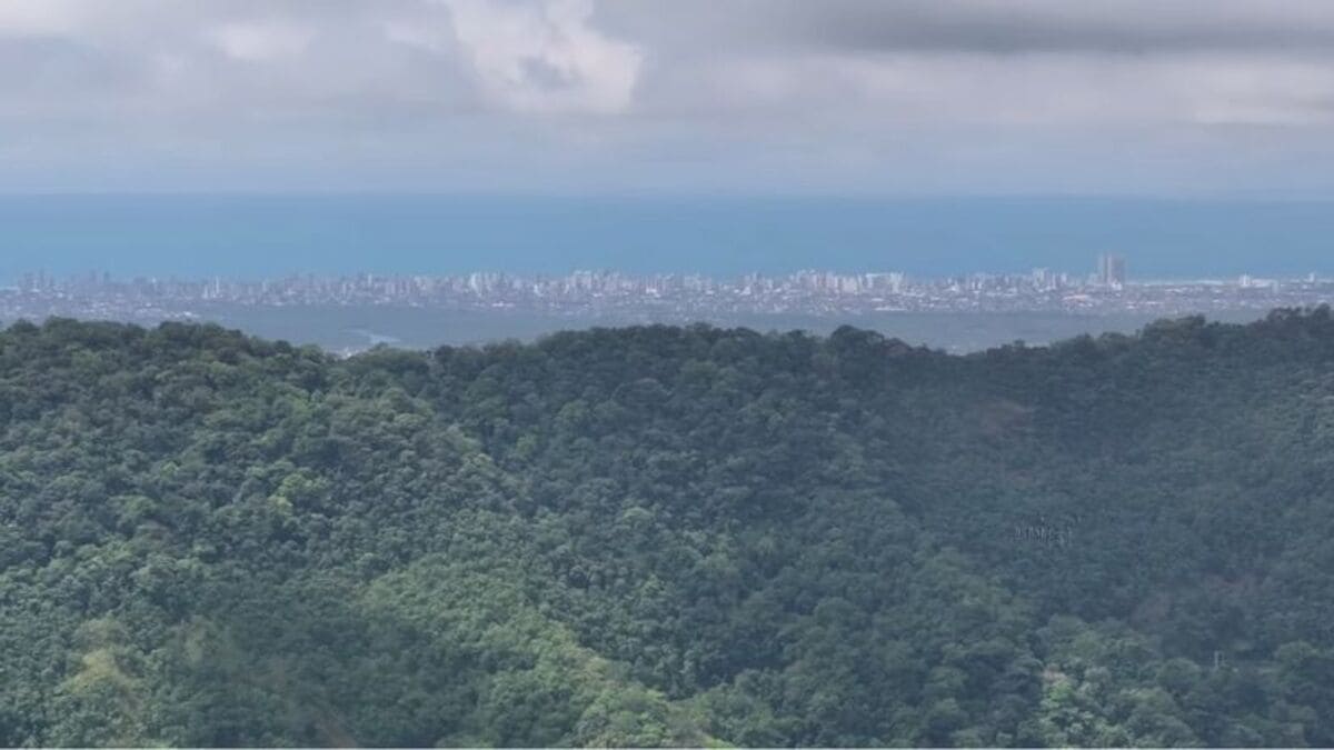 Entre a mata fechada, o bairro revela cachoeiras e até vista distante do mar