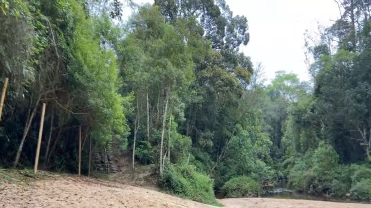 Entre trilhas e quedas d'água, o oceano aparece à distância