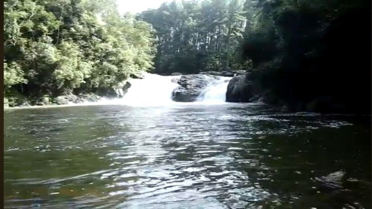 Cachoeira em meio à Mata Atlântica com vista rara do mar ao fundo