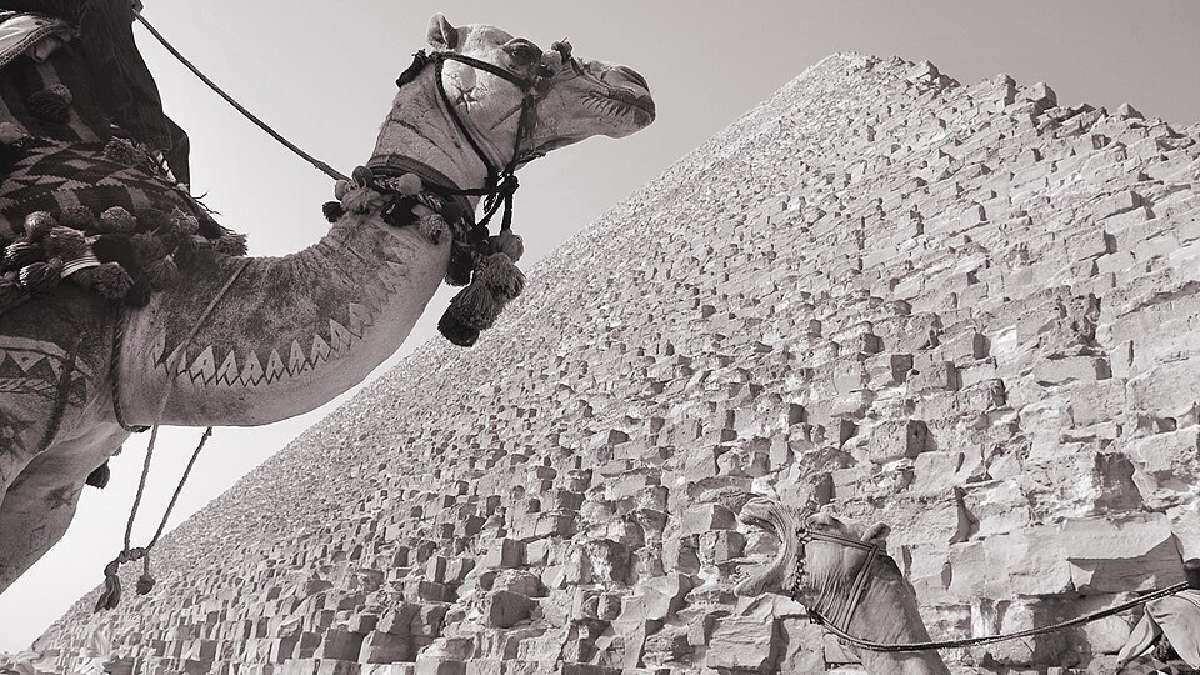 A estimativa, baseada em medições de erosão na base do monumento, aponta maior probabilidade de construção entre 8.954 a.C. e 36.878 a.C., com média em torno de 22.900 a.C (Foto: Edwardwexler/Wikimedia Commons)