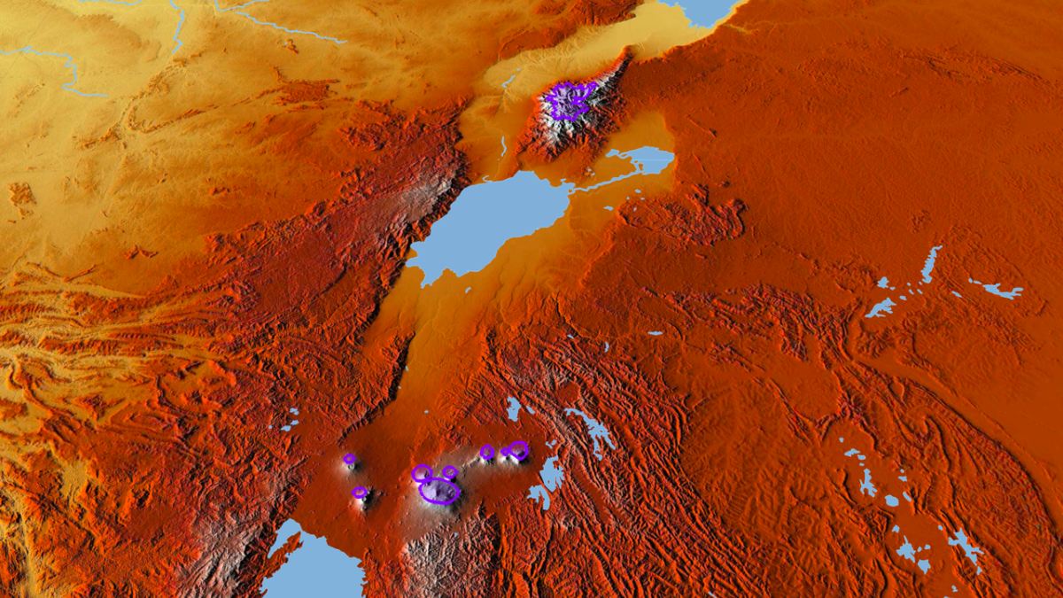 O sistema de rift funciona como uma cicatriz profunda na crosta terrestre. Ali, duas grandes porções do continente se afastam pouco a pouco: o bloco somali, a leste, e o bloco núbio, a oeste. Esse movimento cria vales extensos, vulcões ativos e terremotos frequentes.