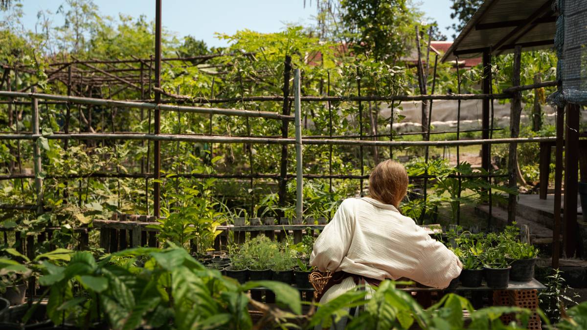 Na cobertura de um edifício de Paris, foi inaugurada uma fazenda urbana com cerca de 14 mil metros quadrados