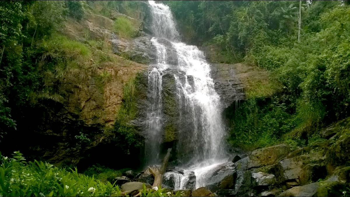 Para quem busca renovação e descanso, a Cachoeira Santa Quitéria é uma das paradas obrigatórias, oferecendo tranquilidade em meio à natureza exuberante - (Reprodução/YouTube)