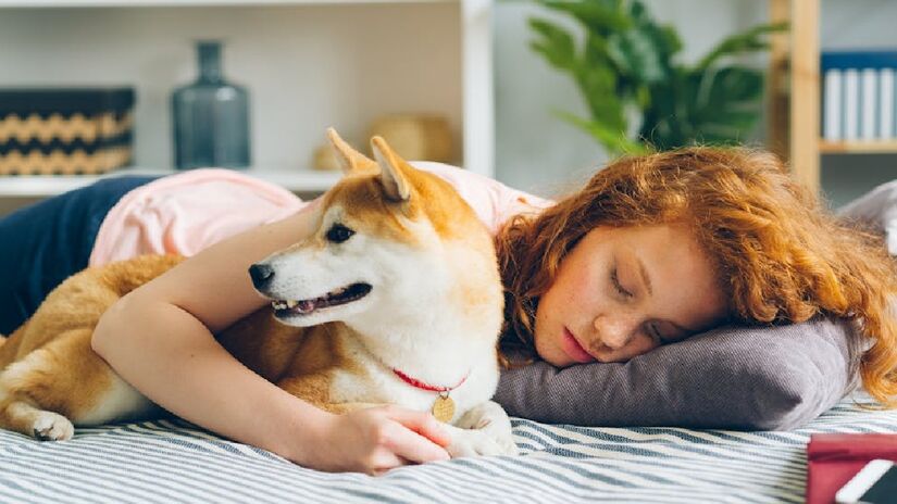 Alguns tutores que permitem que os animais durmam com eles demonstram com frequência uma maior capacidade empática - (Vitaly Gariev/Pexels)