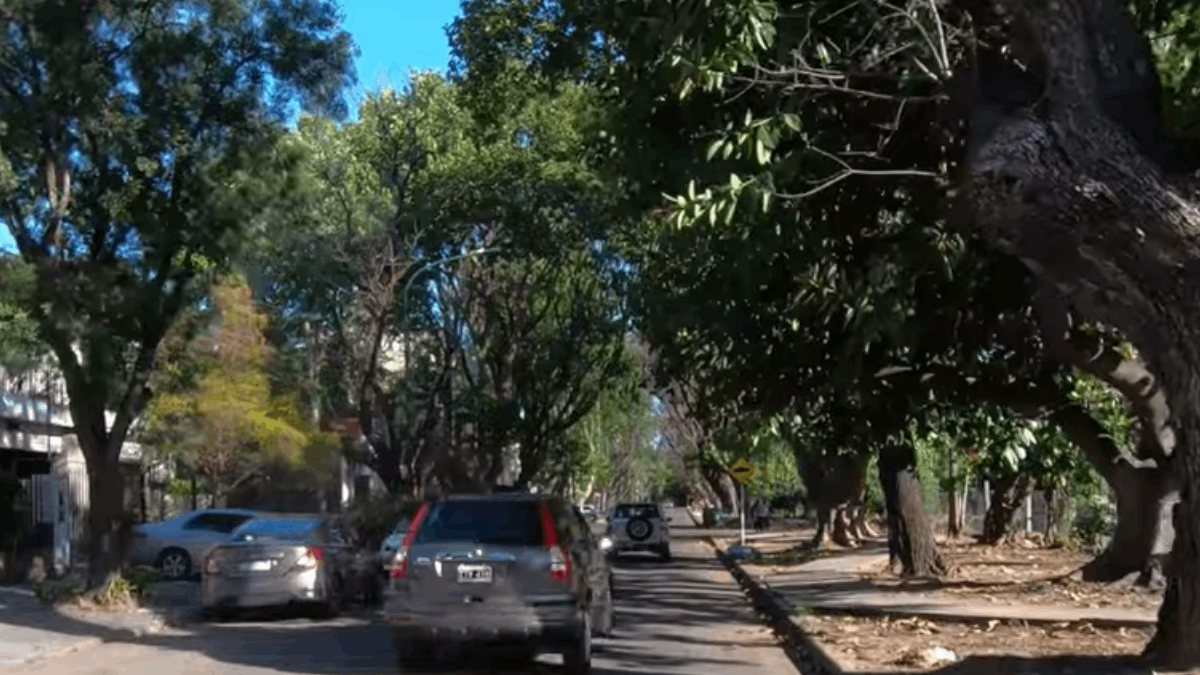 O túnel verde desse bairro tem uma paisagem que vale a pena conhecer (Foto: Reprodução Youtube)