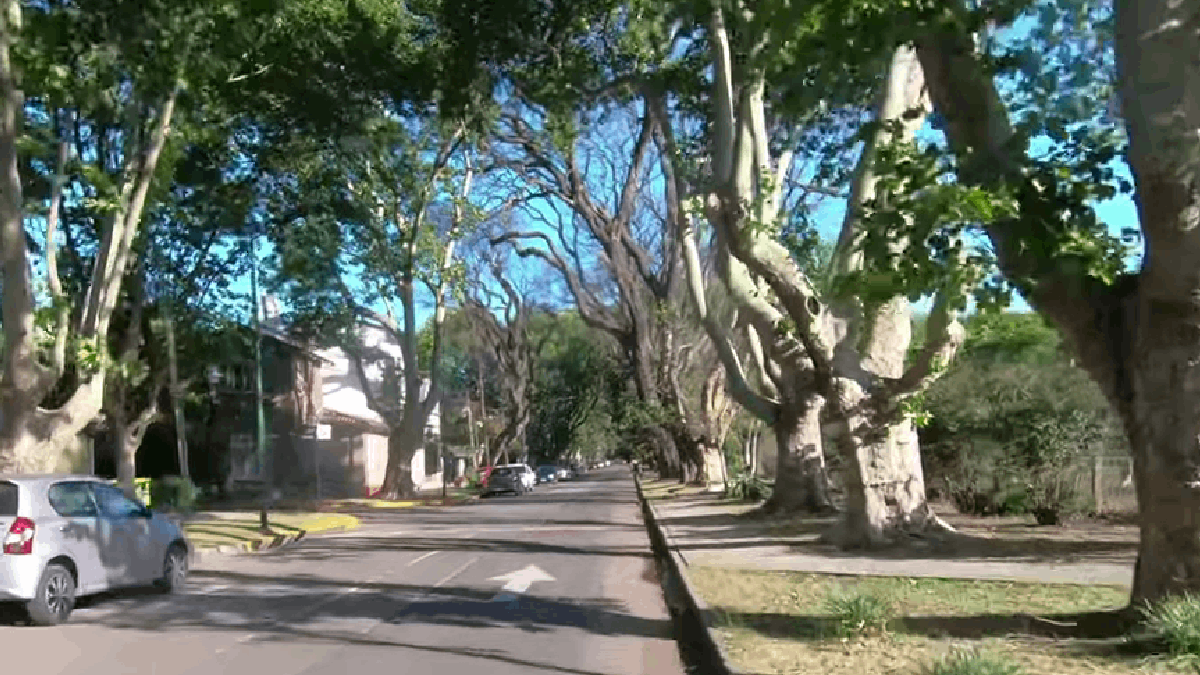 Clima agradável: Buenos Aires surpreende com paisagem escondida (Foto: Reprodução Youtube)