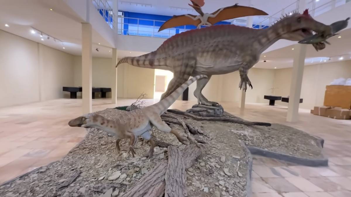 Pela primeira vez, um pterossauro filtrador foi encontrado na região tropical