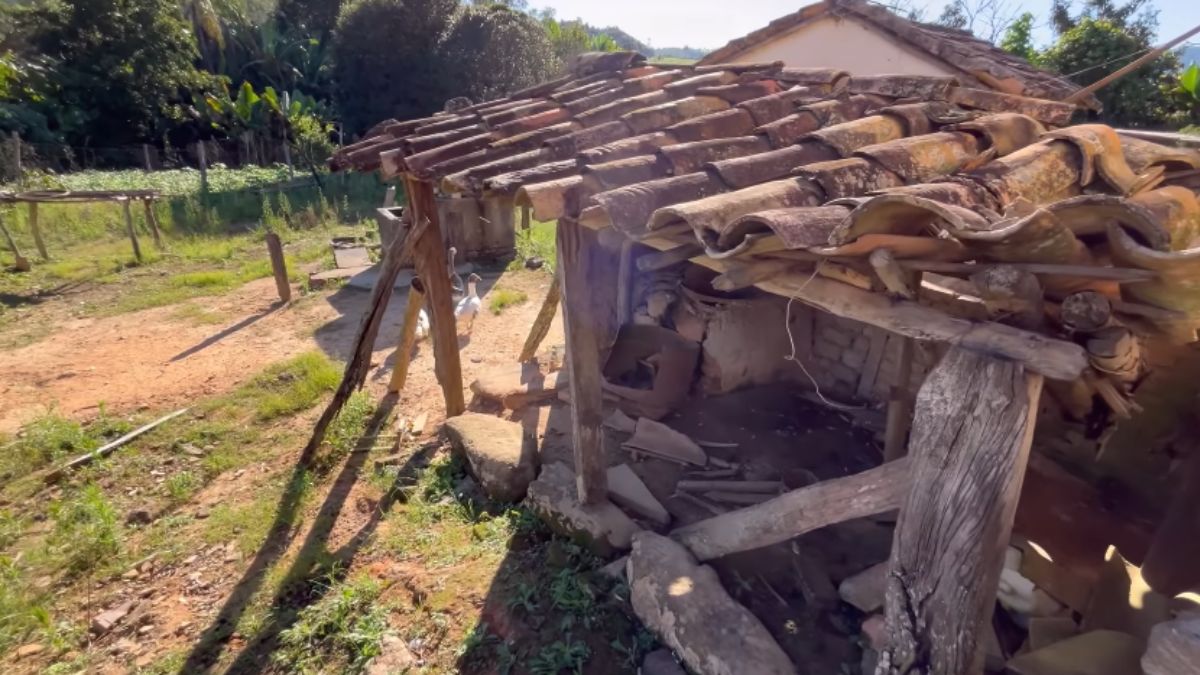 A renda da casa vem da criação de gado, da venda de bezerros e da compra de terras feita com critério financeiro e economia constante