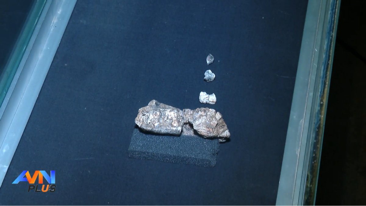 Um fóssil achado na Etiópia, uma mandíbula de 2,6 milhões de anos, fez cientistas repensarem a história do Paranthropus