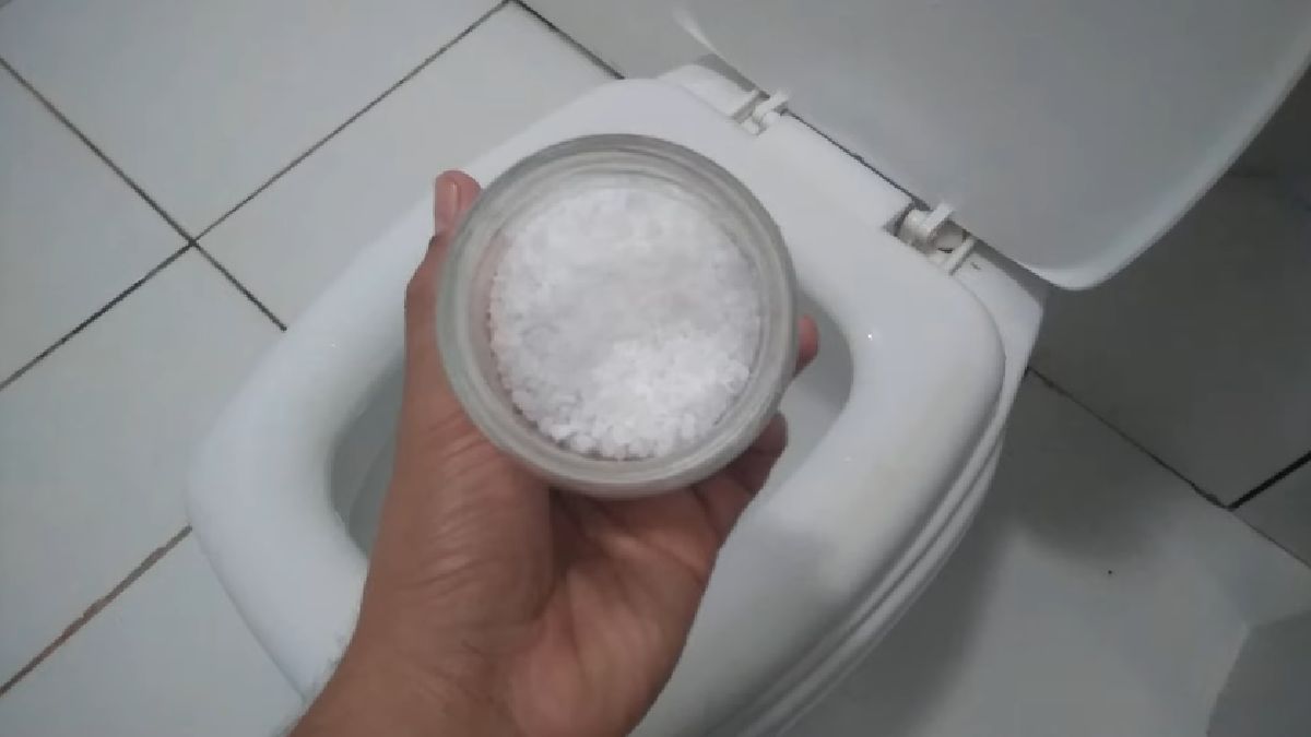 Entre as opções caseiras que ganharam popularidade está o uso de sal grosso no vaso sanitário; o método chama atenção pelo custo baixo e pela facilidade de aplicação, com ingredientes comuns da cozinha (Foto: Reprodução YouTube)