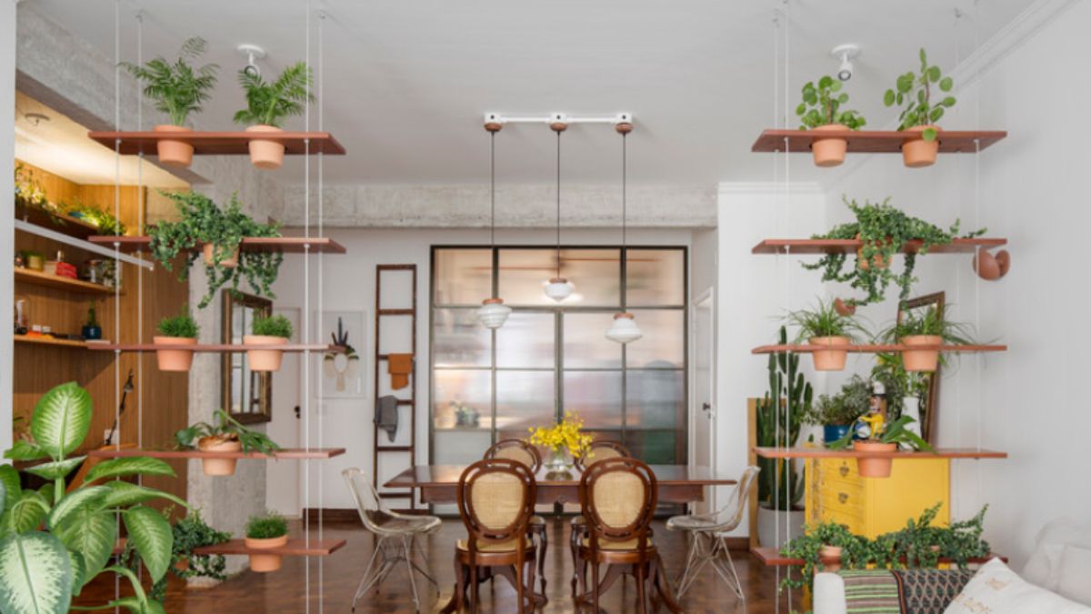 Descubra como o excesso de verde transforma a energia do ambiente e ajuda a reduzir o estresse diário. - Foto/Divulgação