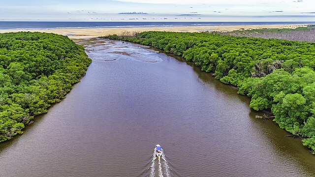 Para quem quer um destino de férias diferenciado, o Delta do Parnaíba é uma boa opção (Fotos: Chico Rasta/M Tur/Wikimmedia Commons)