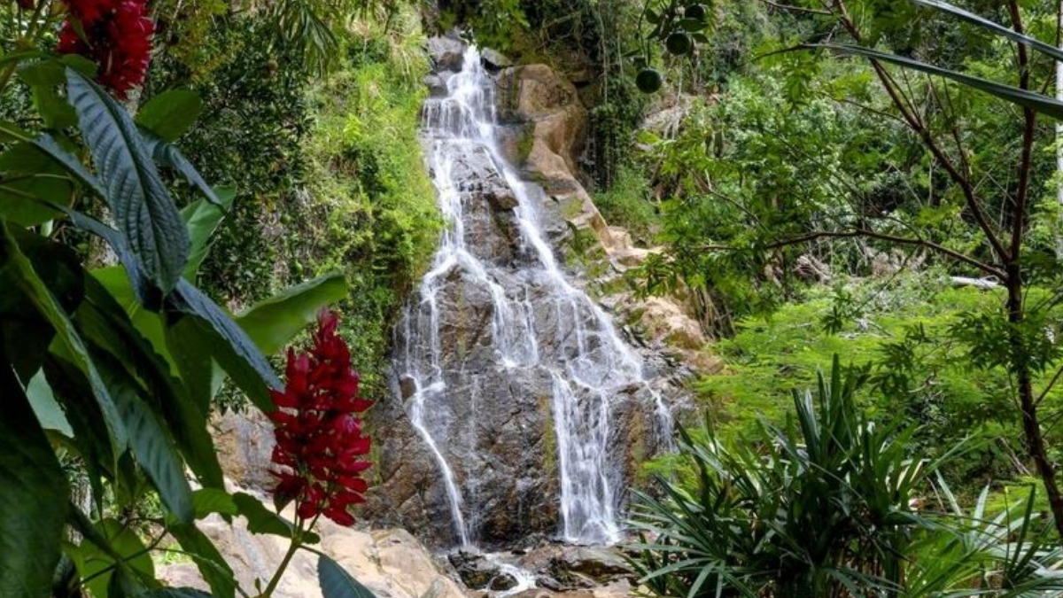 Localizada na Serra da Mantiqueira, no interior de São Paulo, a pequena cidade de Caconde é um destino repleto de opções para quem ama natureza e aventura. As diversas paisagens rurais são um espetáculo à parte para quem gosta do interior e do turismo rural - (Divulgação/Turismo Caconde)