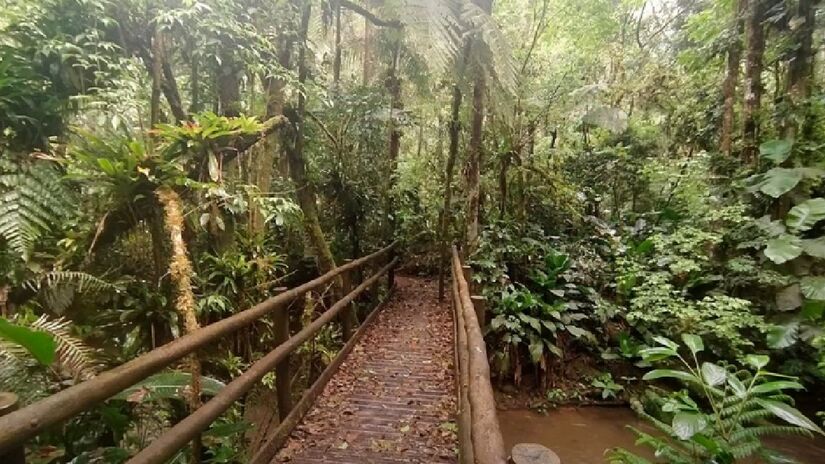 Eldorado, o quarto maior município do estado de São Paulo, possui uma paisagem marcada por morros altos, vales profundos e ribeirões de águas cristalinas - (Reprodução/YouTube)